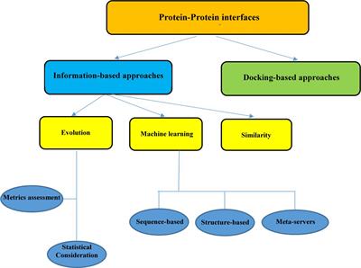 In silico Approaches for the Design and Optimization of Interfering Peptides Against Protein–Protein Interactions